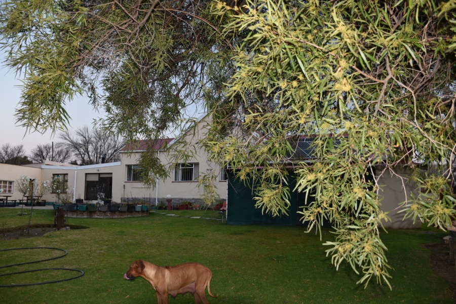4 Bedroom Property for Sale in Rouxville Free State